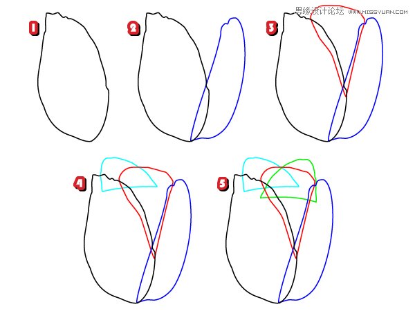 Illustrator绘制时尚唯美的玫瑰花和花屏,PS教程,思缘教程网