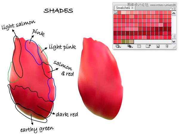 Illustrator绘制时尚唯美的玫瑰花和花屏,PS教程,思缘教程网