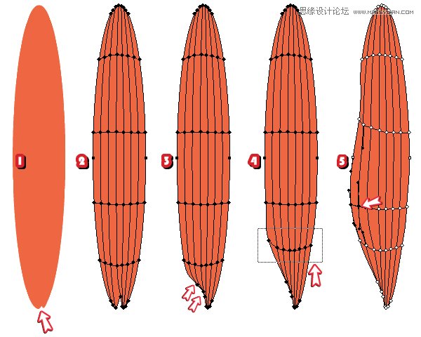 Illustrator绘制时尚唯美的玫瑰花和花屏,PS教程,思缘教程网