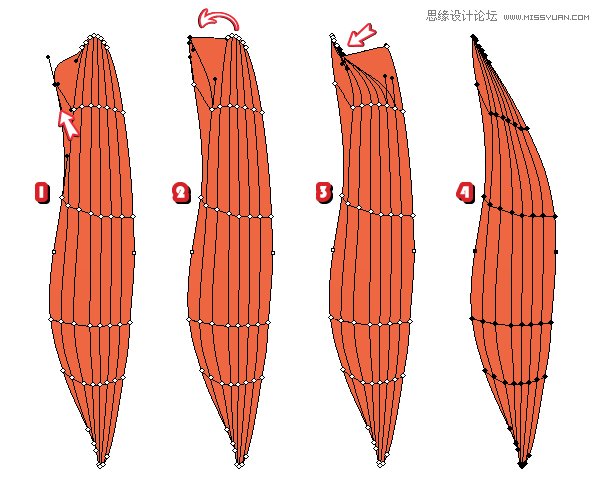 Illustrator绘制时尚唯美的玫瑰花和花屏,PS教程,思缘教程网