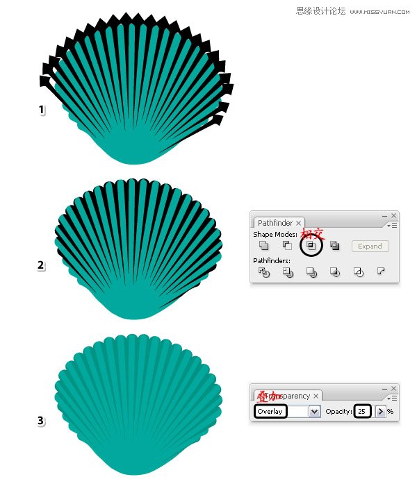 Illustrator绘制时尚彩色的逼真贝壳,PS教程,思缘教程网