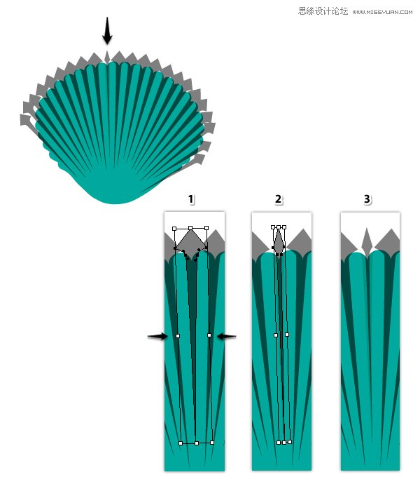 Illustrator绘制时尚彩色的逼真贝壳,PS教程,思缘教程网