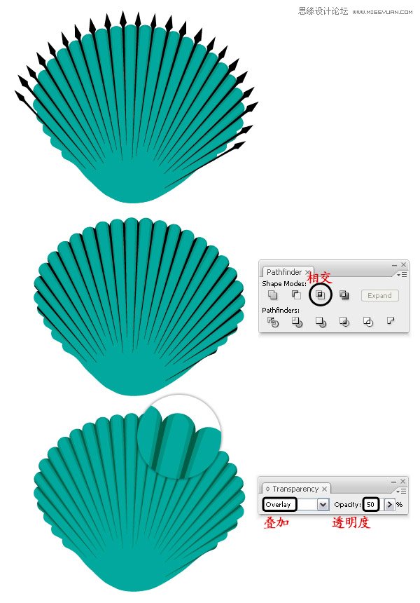 Illustrator绘制时尚彩色的逼真贝壳,PS教程,思缘教程网
