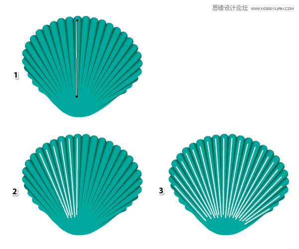 Illustrator绘制时尚彩色的逼真贝壳,PS教程,思缘教程网