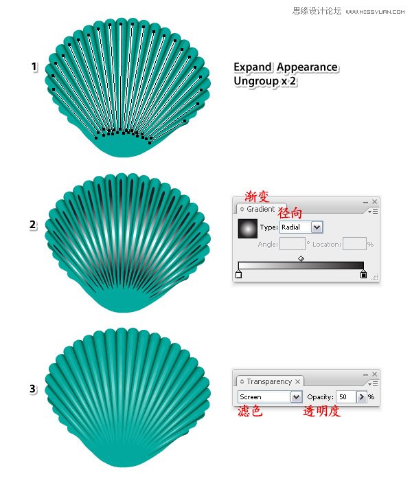 Illustrator绘制时尚彩色的逼真贝壳,PS教程,思缘教程网