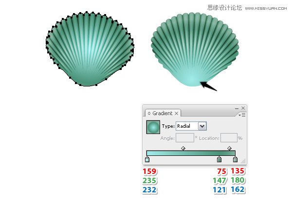 Illustrator绘制时尚彩色的逼真贝壳,PS教程,思缘教程网
