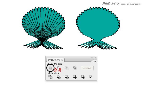 Illustrator绘制时尚彩色的逼真贝壳,PS教程,思缘教程网