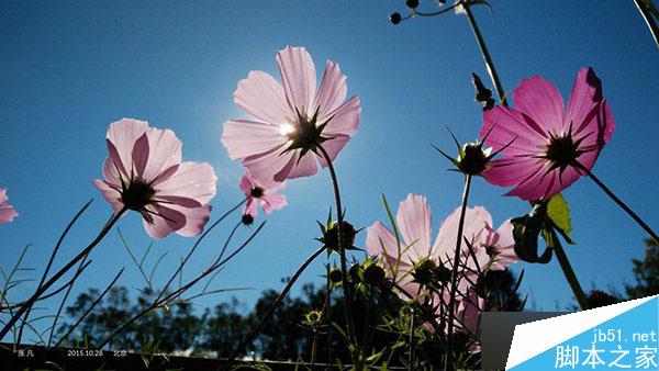 一加手机X发布会图文直播：双面玻璃的真旗舰