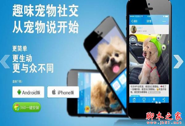 宠物说app详细教程