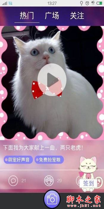 宠物说app详细教程