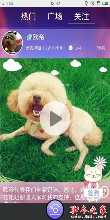 宠物说app详细教程