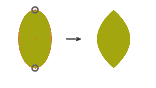 用AI画一只考拉 脚本之家 AI实例教程creating the leaf