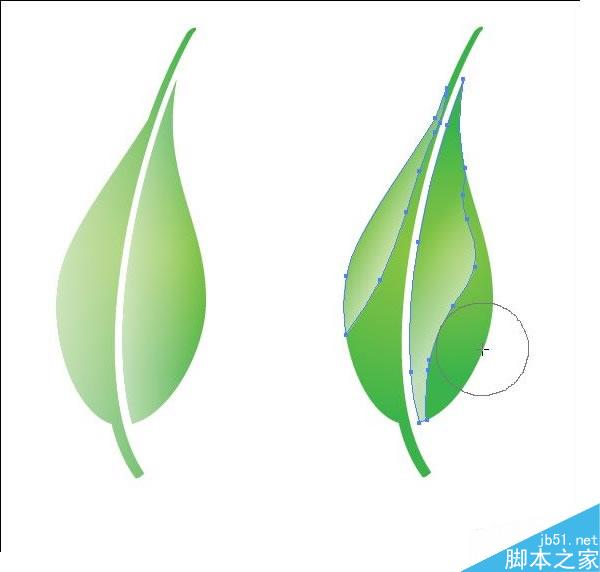 AI绘制树叶教程 脚本之家 AI实例教程