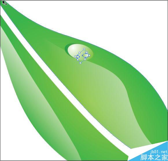 AI绘制树叶教程 脚本之家 AI实例教程