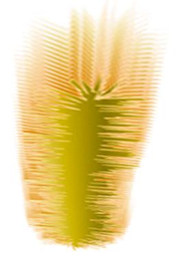 AI和PS绘制芦苇丛油画 脚本之家 AI实例教程