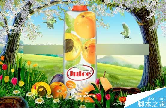 AI CS5蒙版功能制作果汁海报 脚本之家 AI实例教程