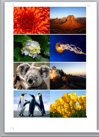 2014-9-15 9-07-08.png