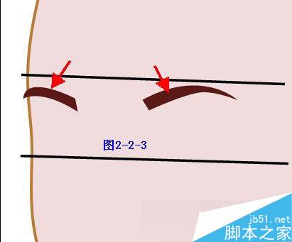 Illustrator鼠绘教程：插画人物系列之清纯美女的绘制_中国教程网