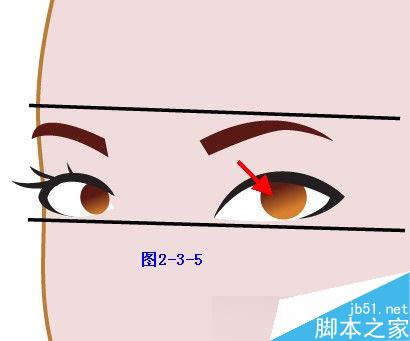 Illustrator鼠绘教程：插画人物系列之清纯美女的绘制_中国教程网