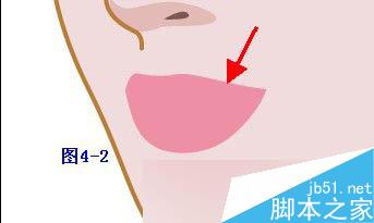 Illustrator鼠绘教程：插画人物系列之清纯美女的绘制_中国教程网