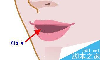 Illustrator鼠绘教程：插画人物系列之清纯美女的绘制_中国教程网