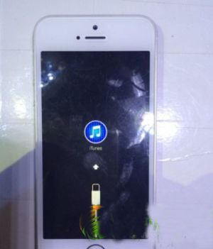 iphone5s死机怎么办？iphone5s黑屏开不了机解决方法1