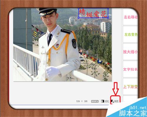 如何在图片照片上加动态文字