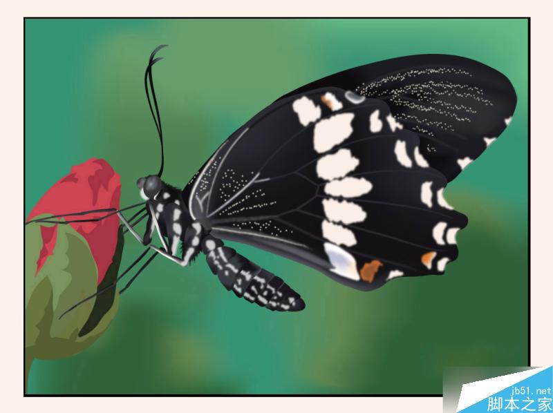 AI绘制逼真美丽的蝴蝶 脚本之家 AI教程