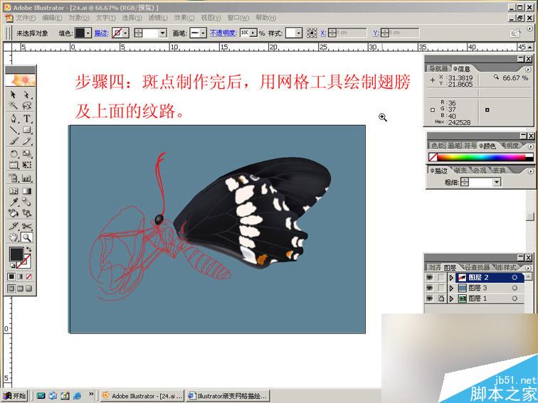 AI绘制逼真美丽的蝴蝶 脚本之家 AI教程