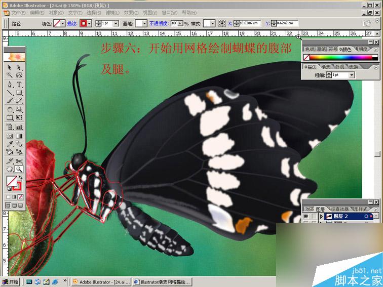 AI绘制逼真美丽的蝴蝶 脚本之家 AI教程
