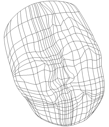 AI教程 AI渐变网格打造美女精致五官 脚本之家 AI实例教程