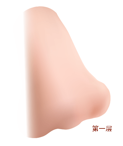 AI教程 AI渐变网格打造美女精致五官 脚本之家 AI实例教程