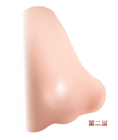 AI教程 AI渐变网格打造美女精致五官 脚本之家 AI实例教程