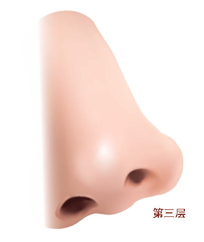 AI教程 AI渐变网格打造美女精致五官 脚本之家 AI实例教程