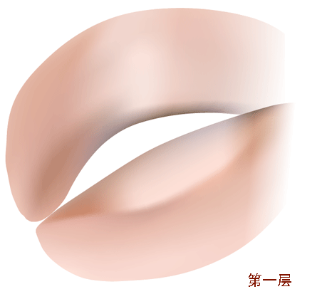 AI教程 AI渐变网格打造美女精致五官 脚本之家 AI实例教程