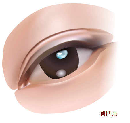 AI教程 AI渐变网格打造美女精致五官 脚本之家 AI实例教程