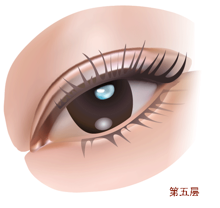 AI教程 AI渐变网格打造美女精致五官 脚本之家 AI实例教程