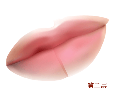 AI教程 AI渐变网格打造美女精致五官 脚本之家 AI实例教程