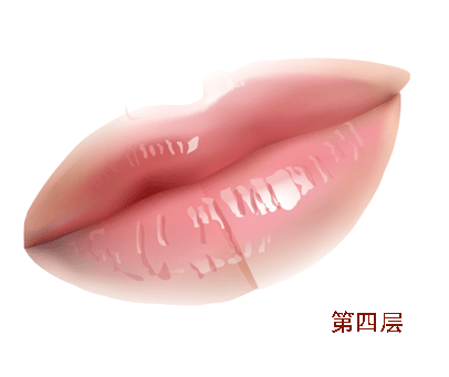 AI教程 AI渐变网格打造美女精致五官 脚本之家 AI实例教程