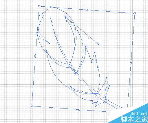 AI教程：AI渐变网格绘制PS CS2漂亮羽毛 脚本之家 fevte.com