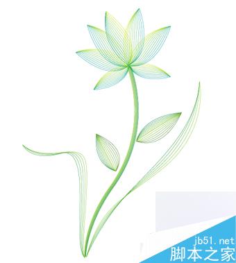 AI绘制矢量线型花朵 脚本之家 AI教程