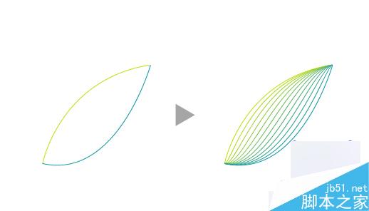 AI绘制矢量线型花朵 脚本之家 AI教程