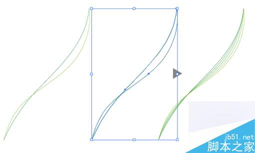 AI绘制矢量线型花朵 脚本之家 AI教程