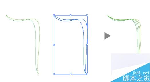 AI绘制矢量线型花朵 脚本之家 AI教程