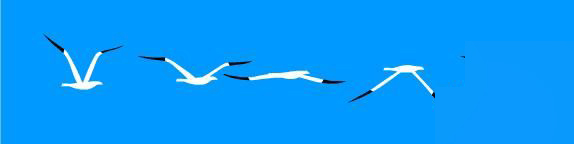 Illustrator教程：绘制Flash元件_海鸥飞翔_教程网