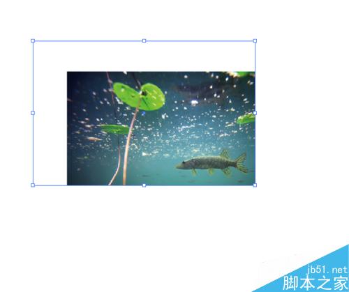 如何使用AI剪切蒙版