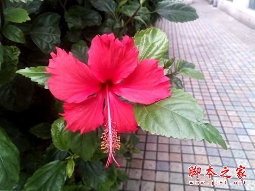 昂达v10 pro值得买吗?昂达v10 pro平板笔记本全面开箱评测图解