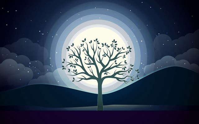 怎么看微信公众号粉丝数量？2种预估公众号粉丝方法