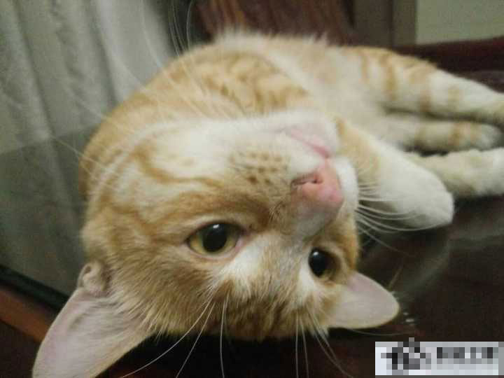 如何使用snapseed进行修图？snapseed修图技巧分享