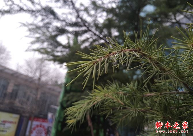 魅族PRO6 Plus到底值得买吗 魅族PRO6 Plus外观/性能/系统/拍照/续航详细评测图解